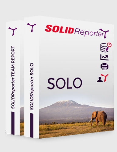 SOLIDReporter SOLO - SOLIDReporter TEAM REPORT